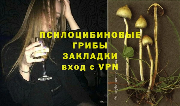 ECSTASY Горняк