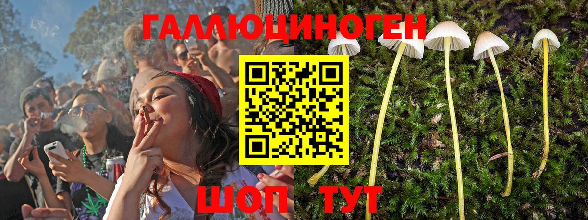 Псилоцибиновые грибы мухоморы Ржев