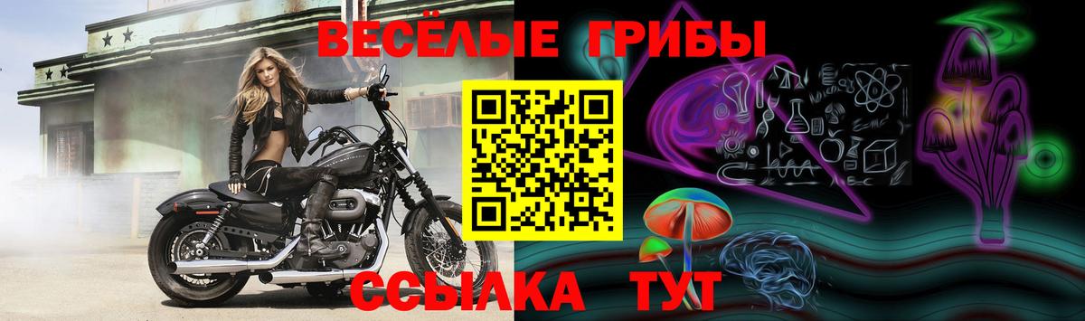 Галлюциногенные грибы Psilocybine cubensis  Галлюциногенные грибы Cubensis  Вход с VPN  Ржев 
