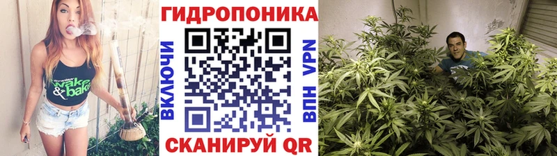 Каннабис LSD WEED  OMG tor  Ржев 
