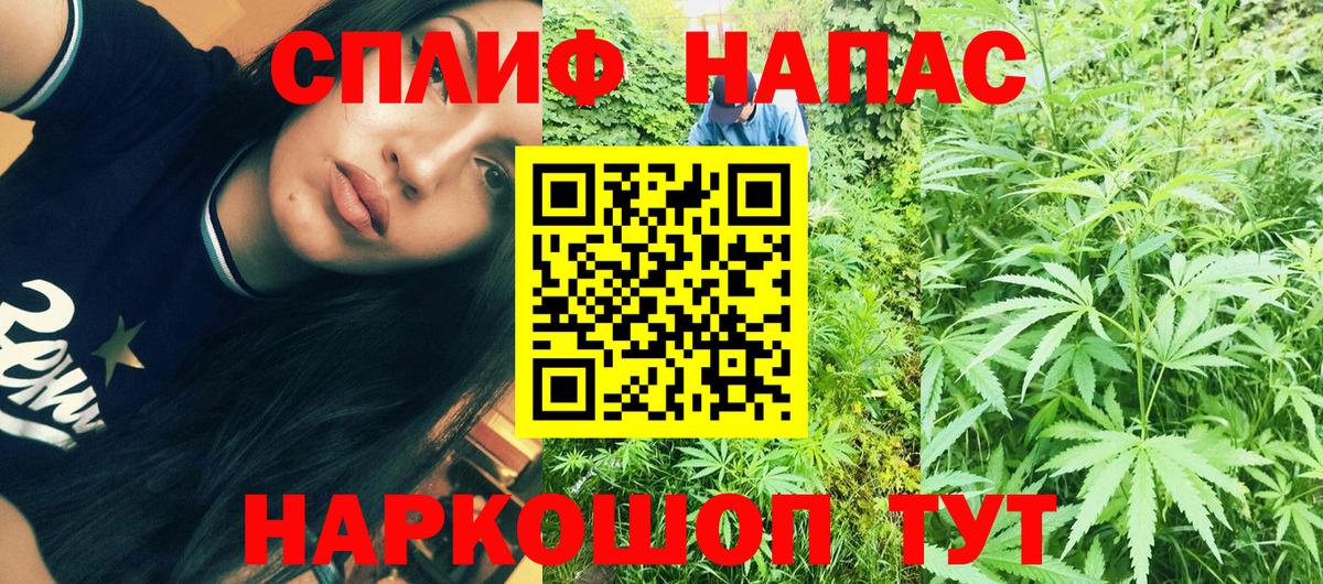 Каннабис OG Kush  Канабис планчик  Бошки Шишки ГИДРОПОН  Ржев  Вход с VPN 